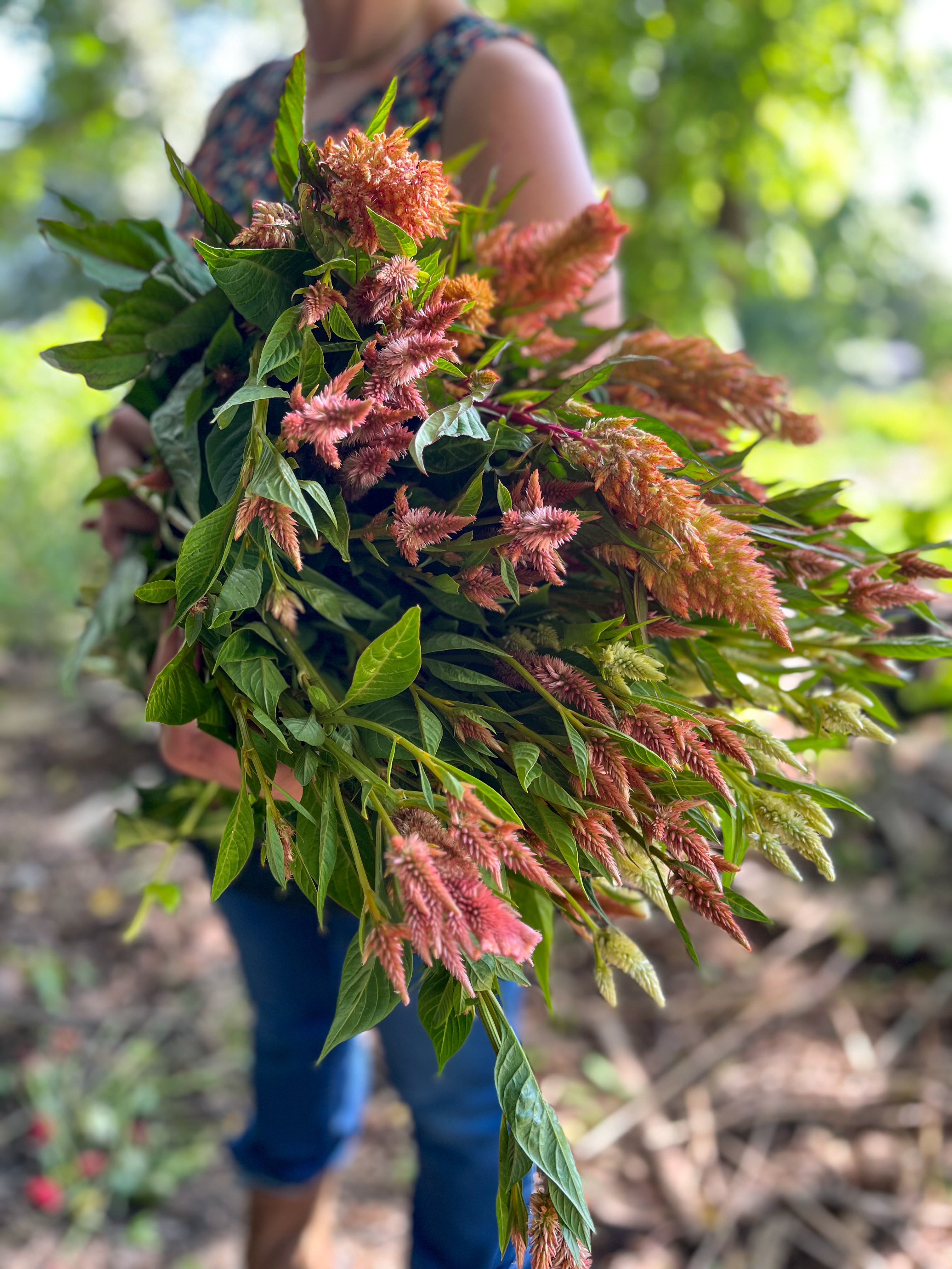 1 2 1 3 6 5 1 2 1 3 6 5